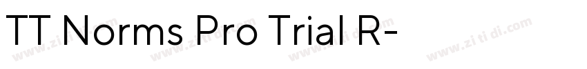 TT Norms Pro Trial R字体转换